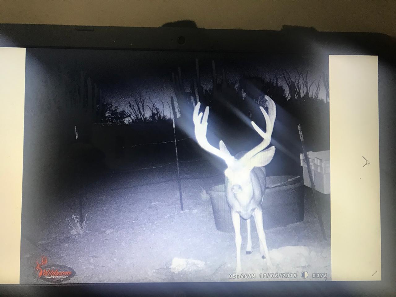 Fotografía 17