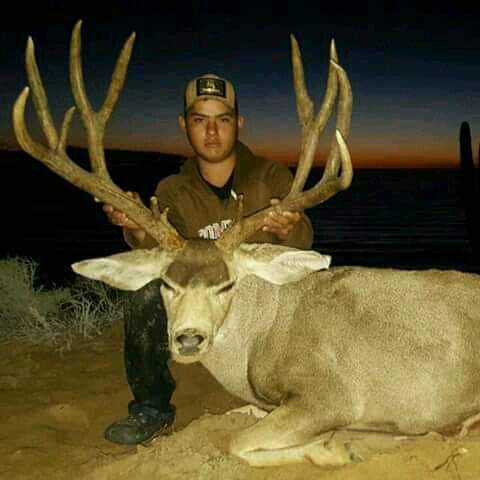 Caza del Venado Bura - Imagen 51
