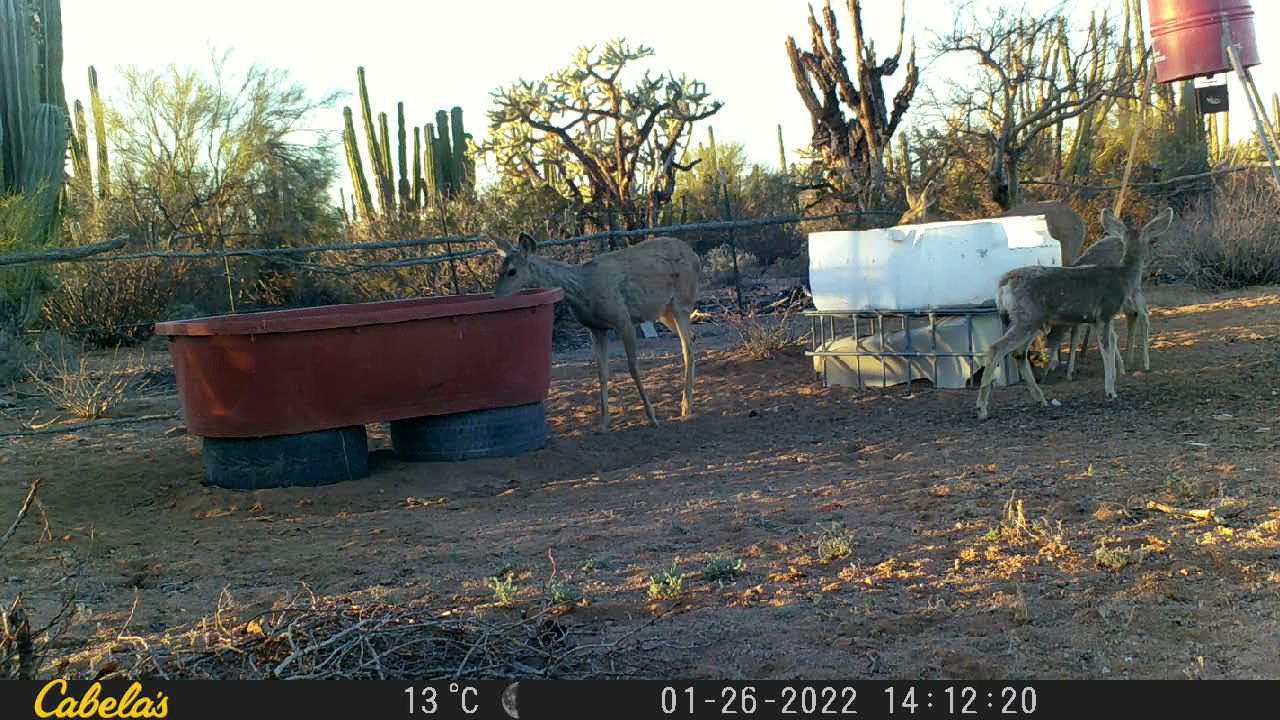 Video 10