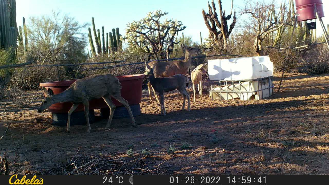 Video 11