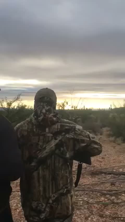 Video 13