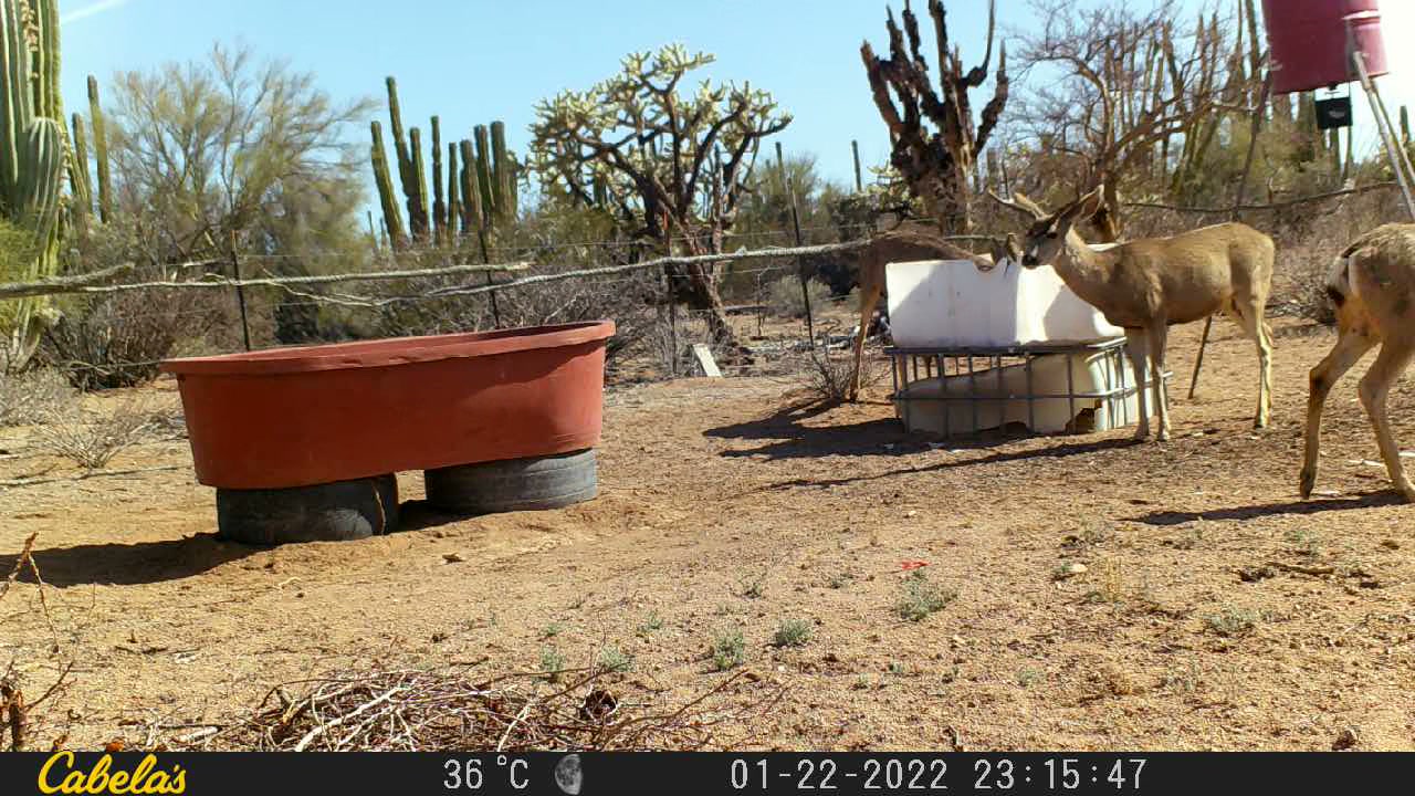 Video 2