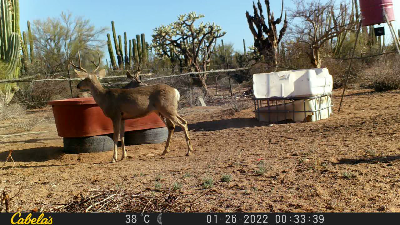 Video 4