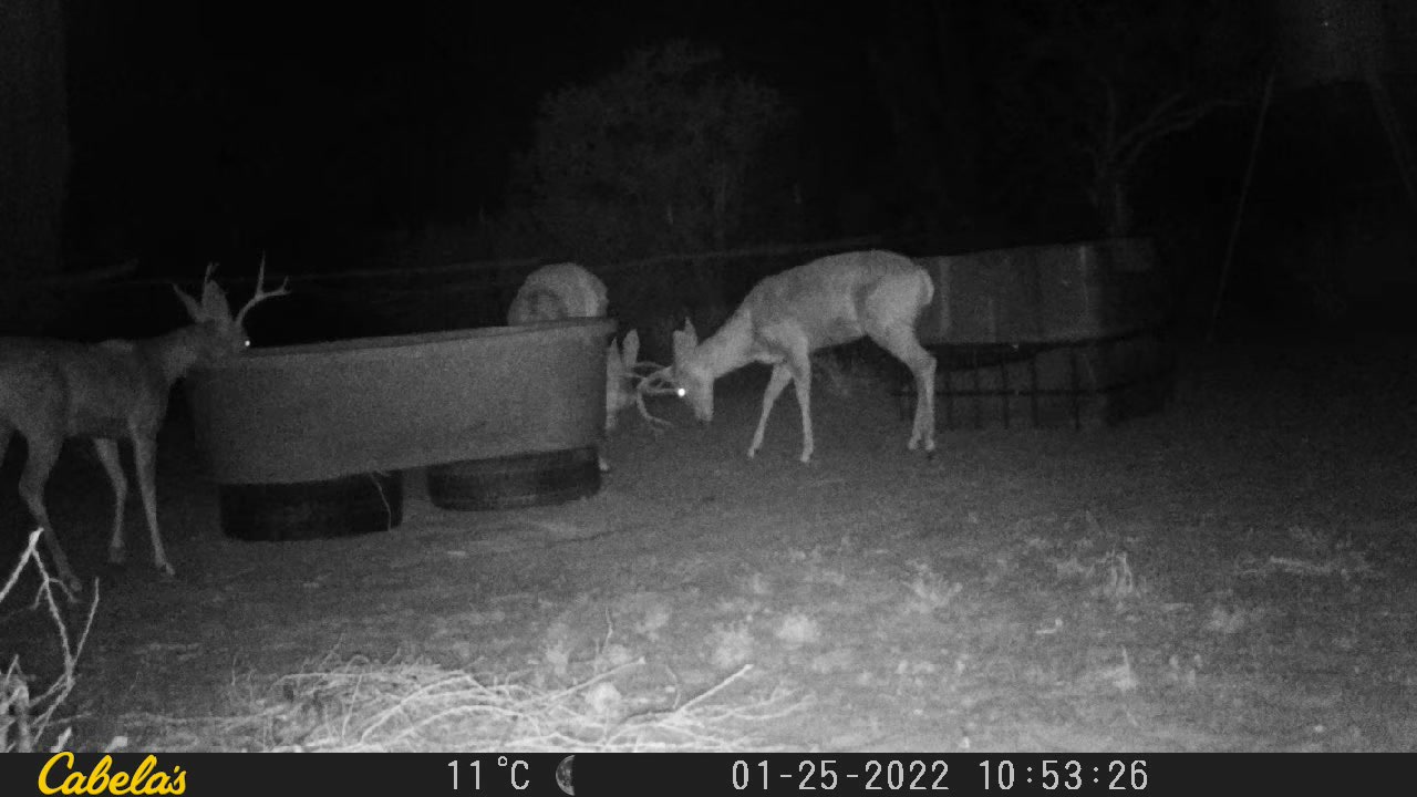 Video 7
