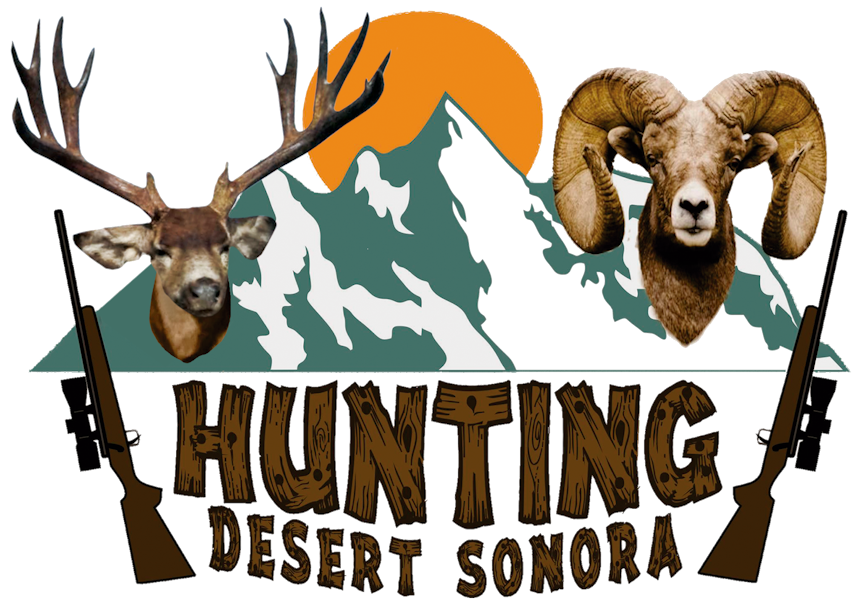 Hunting Desert Sonora
